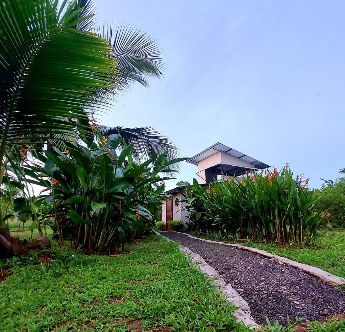 Hotel Bewak Cr Tortuguero Exterior foto